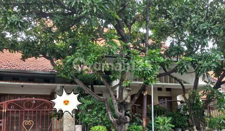 Dijual Rumah Di Medokan Asri Barat Rungkut Siap Huni Bebas Banjir Dijual Rumah Di Medokan Asri Barat Rungkut Siap Huni Bebas Banjir