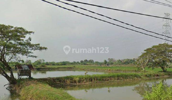 DIJUAL TANAH MURAH DI JALAN PANTURA DESA SUMARI 1