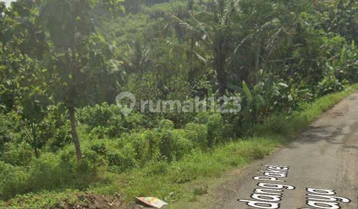 Land for Sale on Jl Sendang Pakel Raya Semarang, Strategic Location 1