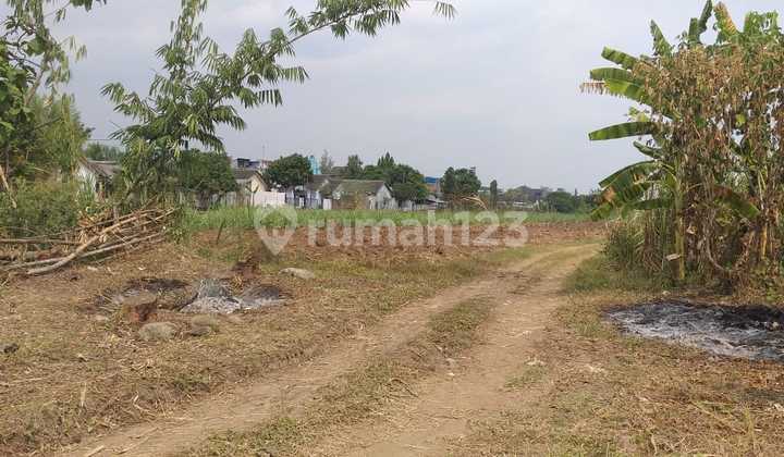 Dijual Tanah Di Jl Kebonsari Jombang Siap Huni Lokasi Strategis Dijual Tanah Di Jl Kebonsari Jombang Siap Huni Lokasi Strategis