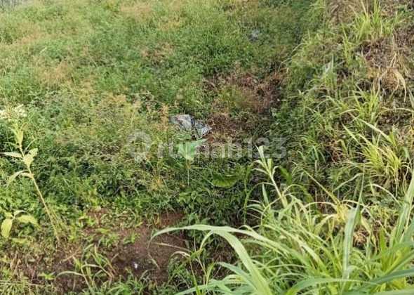 LAND FOR SALE IN GUMUK REJO VILLAGE, BOYOLALI, AFFORDABLE, NEGOTIABLE LAND FOR SALE IN GUMUK REJO VILLAGE, BOYOLALI, AFFORDABLE, NEGOTIABLE