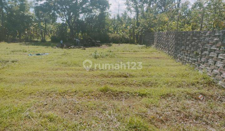 DIJUAL TANAH PEKARANGAN DEKAT KAMPUS DI DESA PLOSOKANDANG TULUNGAGUNG 1