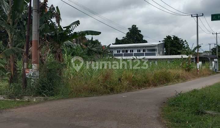 Dijual tanah di Ciangsana posisi hook pinggir jalan murah Dijual tanah di Ciangsana posisi hook pinggir jalan murah