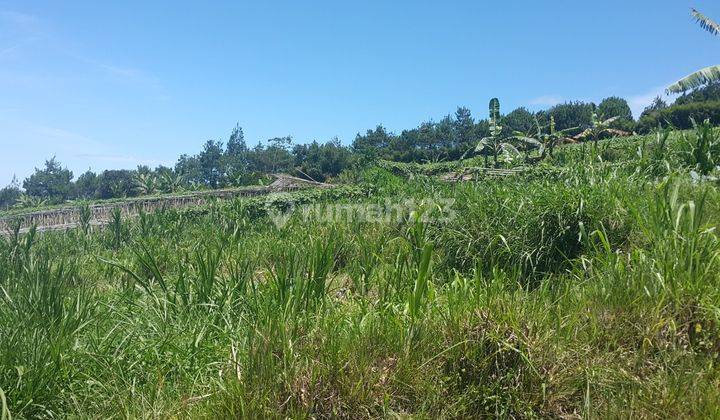 Tanah Lembang Asri View Bagus 3
