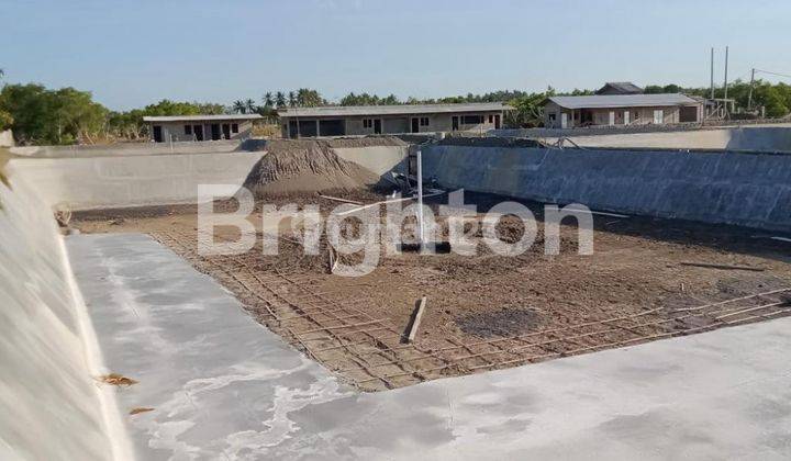 TAMBAK UDANG DI PANTAI CEMARA KAWANG BANYUWANGI MURAAH 1