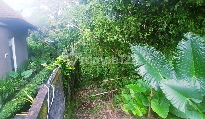 LAND FOR LEASE JUNGLE AND RIVER VIEW NEAR PANTAI NYANYI TABANAN BALI LAND FOR LEASE JUNGLE AND RIVER VIEW NEAR PANTAI NYANYI TABANAN BALI