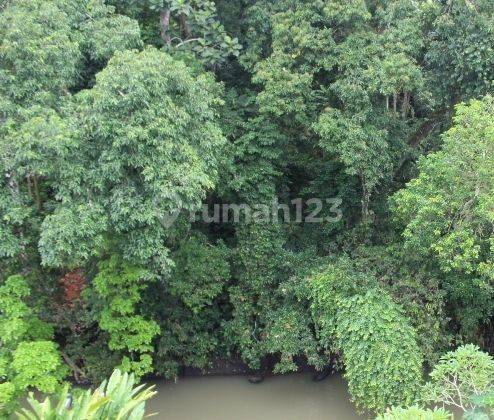 TANAH SHM 1785 m2 JUNGLE VIEW-LOS SUNGAI DEKAT PANTAI NYANYI PANDAK GEDE 