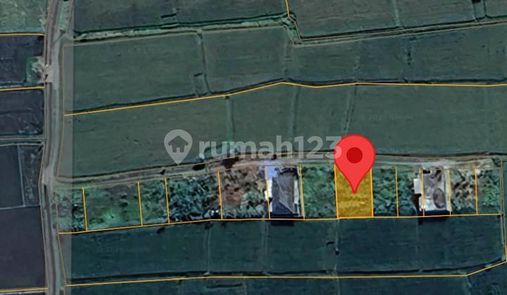 Dijual Satu Unit Tanah Kavling Dekat Bali Zoo Singapadu - Bali