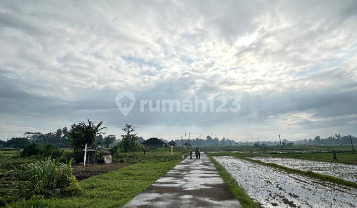 12 UNIT TANAH KAVLING PANDAK BANDUNG - KEDIRI - TABANAN 12 UNIT TANAH KAVLING PANDAK BANDUNG - KEDIRI - TABANAN