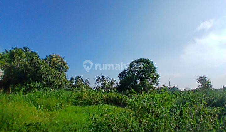 LAHAN 98 ARE COCOK UNTUK PERUMAHAN ATAU KAVLING DI KOTA GIANYAR - BALI 1