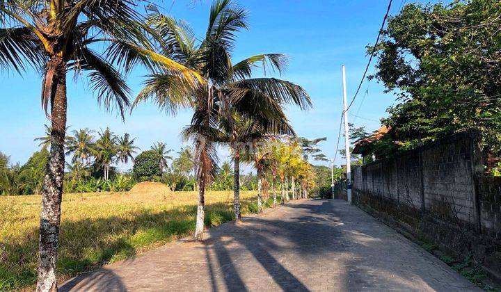 TANAH KAVLING DENBANTAS - TABANAN - BALI 1