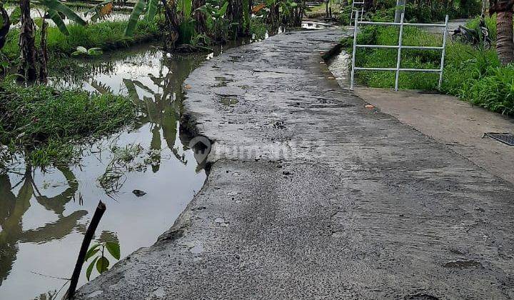 Tanah Zona Pink 2350 Sqm Di Dekat Raya Sayan Ubud 2