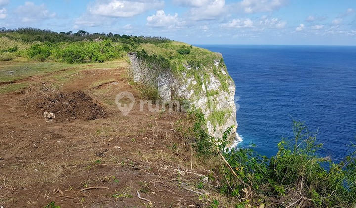 Kavling Nusa Penida Sekartaji Cliff 650 M2