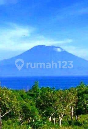 Lahan 12.21 Hektar View Laut, Gunung Agung Desa Kutampi Nusa Penida 1