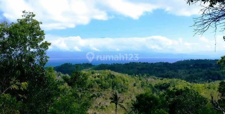 Lahan 12.21 Hektar View Laut, Gunung Agung Desa Kutampi Nusa Penida 2