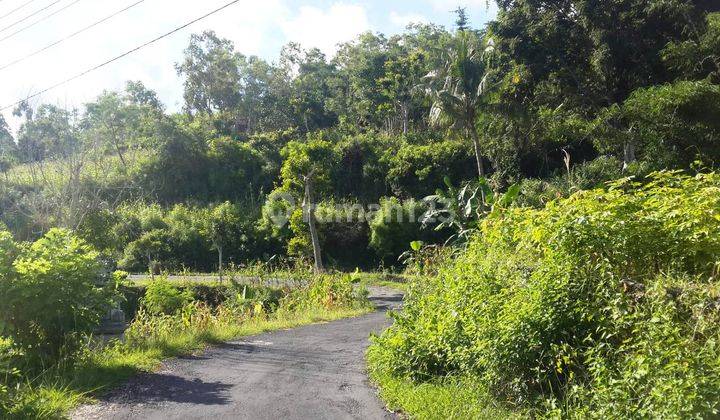 Lahan 12.21 Hektar View Laut, Gunung Agung Desa Kutampi Nusa Penida 4