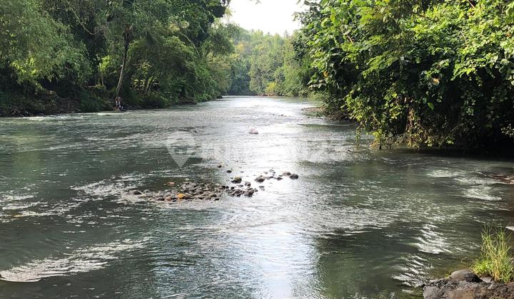 Lahan 530 M2 Aspek Perumahan Dekat Pantai Medewi Jembrana Bali 2