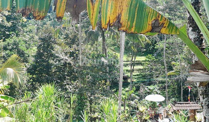 875 M2 Freehold Land In K Club Area Ubud Bali