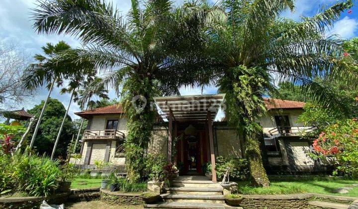 Los Sungai Petanu Villa on 46 Are of Land in Ubud Bali 2