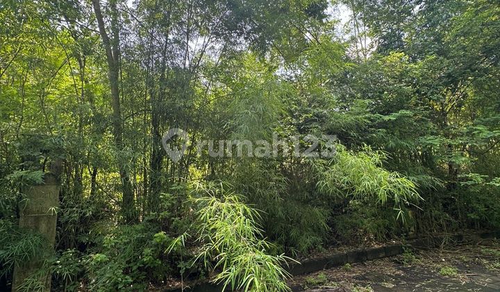 Tanah Premium Luas 342 M2 Kawasan Villa di Mumbul, Badung