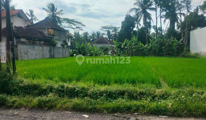 FOR SALE 900 M2 LAND 4 KM FROM CENTRAL UBUD - BALI FOR SALE 900 M2 LAND 4 KM FROM CENTRAL UBUD - BALI