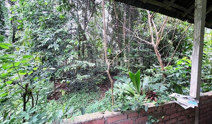 650 SQM LEASEHOLD LAND IN SAYAN NEAR FOUR SEASONS RESORT UBUD BALI