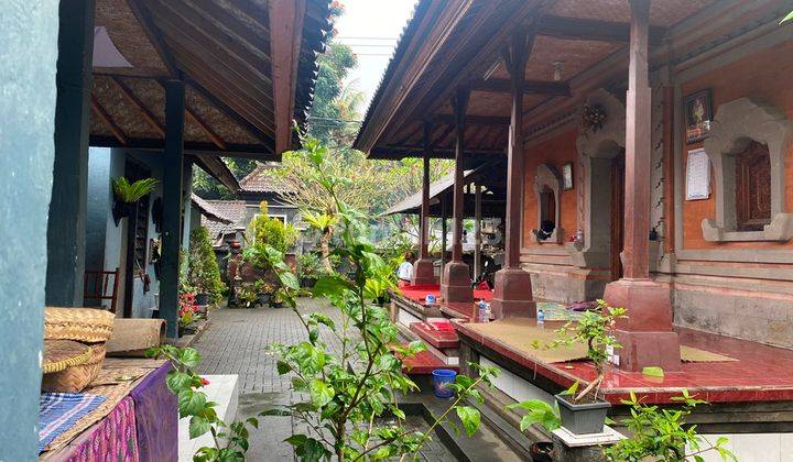 Jual Tanah Rumah Pinggir Jalan Seberang Royal Pita Maha Ubud Bali 2