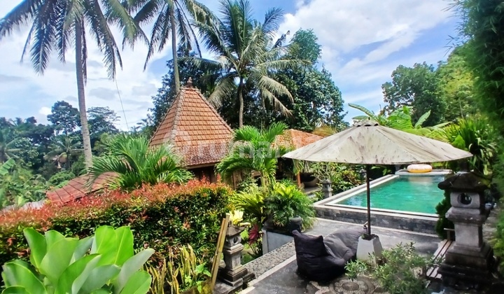 Dijual Villa Joglo View Gunung Sawah dan Sungai di Payangan