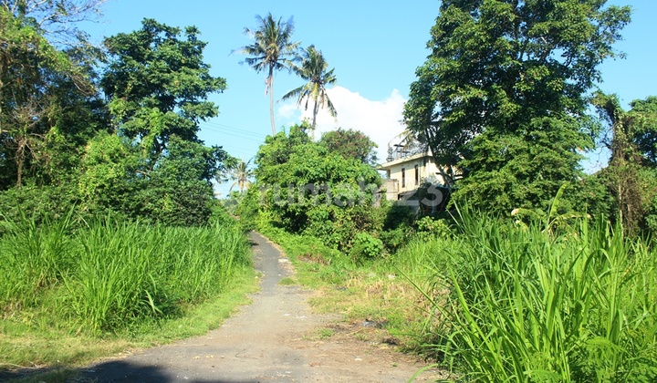 FOR SALE 6 LAND PLOTS SHM 1215 m2 GLOBAL SALE IN PERMATA PERING - BLAHBATUH - GIANYAR - BALI