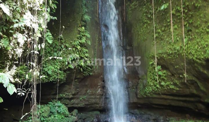 Dijual Lahan 12 Hektar Terdapat 2 Air Terjun di Daerah Catur - Kintamani - Bali Dijual Lahan 12 Hektar Terdapat 2 Air Terjun di Daerah Catur - Kintamani - Bali