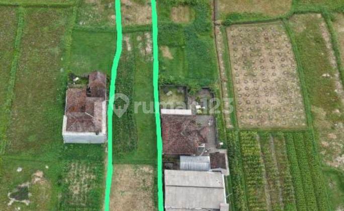 Freehold Land 1575 Sqm In Buahan Payangan - North Ubud Freehold Land 1575 Sqm In Buahan Payangan - North Ubud