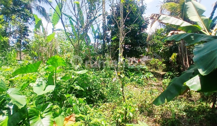 Land For Lease: 2582 Sqm Near Alila Resort Kedewatan - Ubud