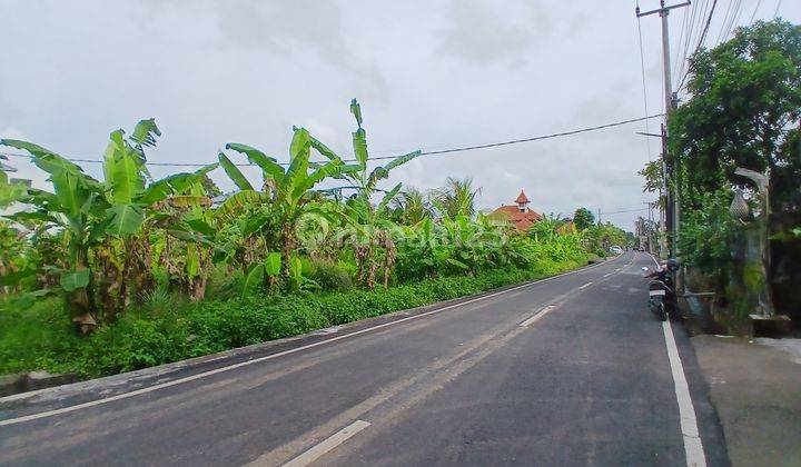 DISEWAKAN TANAH 5 ARE PINGGIR JALAN LINGKUNGAN VILLA DI UBUD - BALI 1