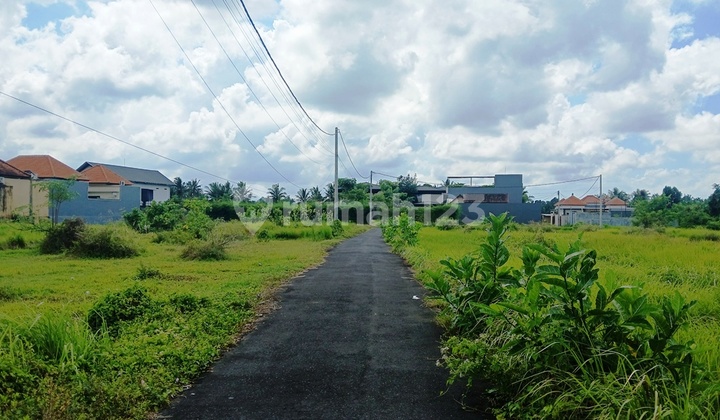 2756 Sqm Land For Lease Near Rusters - Ubud