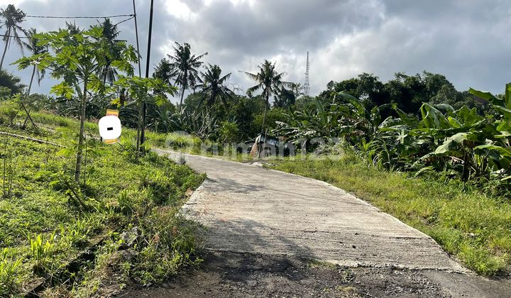 PRICE DROP - QUICK SALE READY-TO-BUILD LAND TABANAN PRICE DROP - QUICK SALE READY-TO-BUILD LAND TABANAN