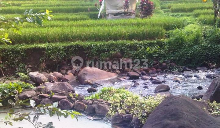 LAND 210 AREA WITH RICE FIELD AND RIVER VIEWS WITH HOT SPRINGS LAND 210 AREA WITH RICE FIELD AND RIVER VIEWS WITH HOT SPRINGS