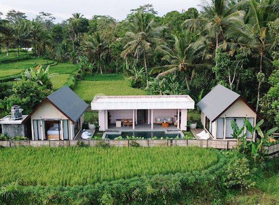 Villa 2 Kamar Tidur View Sawah Dan View Jungle Di Payangan Ubud Bali 2