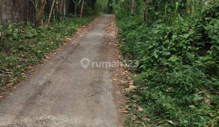 DIJUAL TANAH LADANG 1 HEKTAR DI DESA TARO - TEGALLALANG - GIANYAR  1