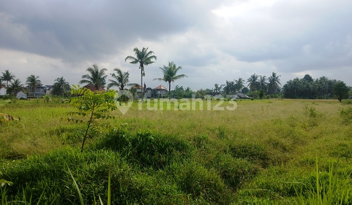 Tanah SHM 10 Are Utara Stadion Bali United - Gianyar - Bali