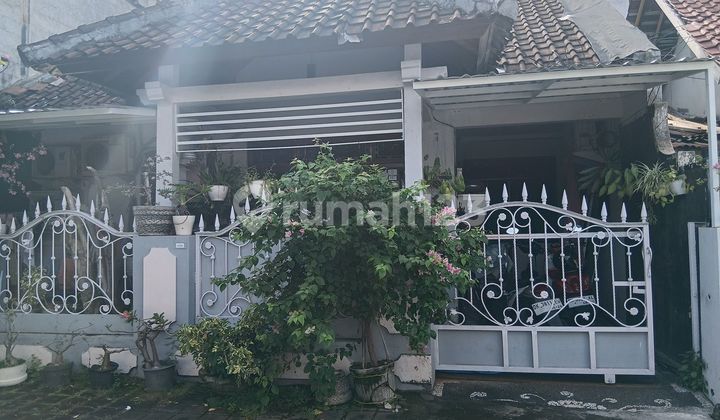 Dijual Rumah Satu Lantai di Jalan Palapa Sesetan - Denpasar Selatan Dijual Rumah Satu Lantai di Jalan Palapa Sesetan - Denpasar Selatan