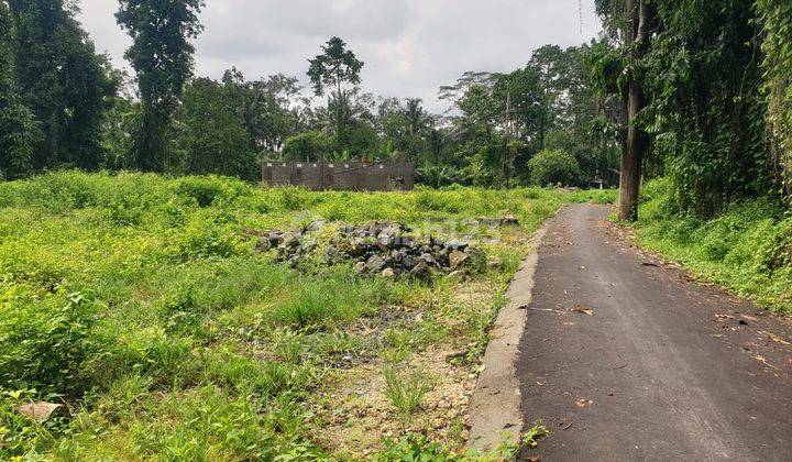 For Lease Vacant Land In Tegallalang Ubud Bali 2