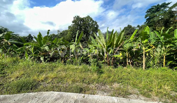 PRICE DROP - QUICK SALE READY-TO-BUILD LAND TABANAN PRICE DROP - QUICK SALE READY-TO-BUILD LAND TABANAN