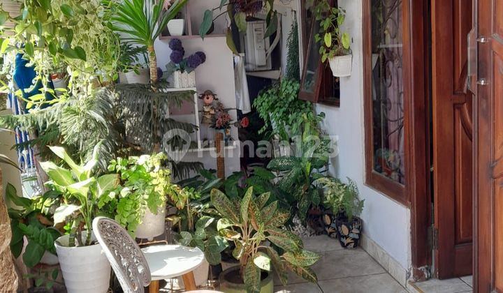 Dijual Rumah Satu Lantai di Jalan Palapa Sesetan - Denpasar Selatan 2