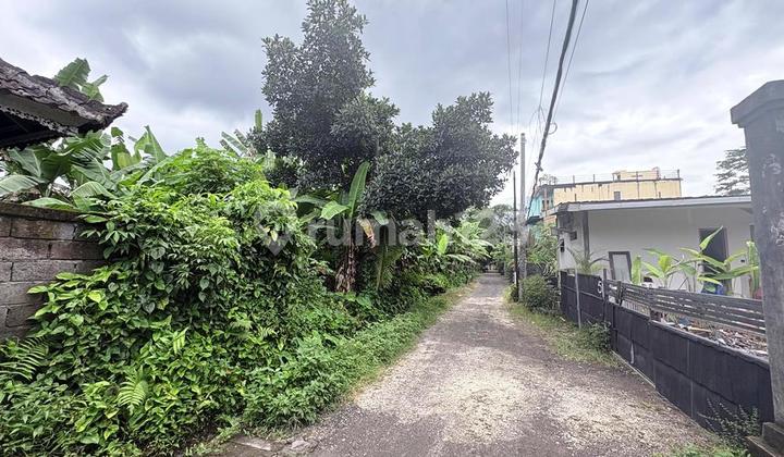 500 and 300 SQM LAND FOR LEASE IN SAYAN NEAR MADU WALDORF SCHOOL