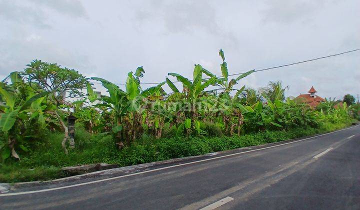 DISEWAKAN TANAH 5 ARE PINGGIR JALAN LINGKUNGAN VILLA DI UBUD - BALI 2