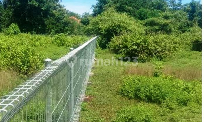FOR LEASE: 987 SQM LAND IN BALANGAN - BALI
