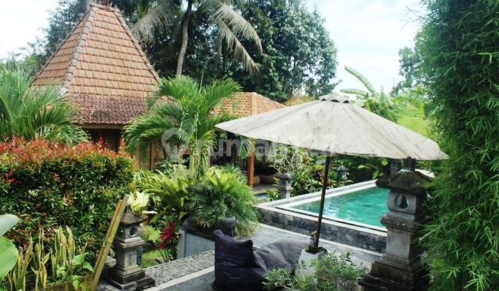 Dijual Villa Joglo View Gunung Sawah dan Sungai di Payangan