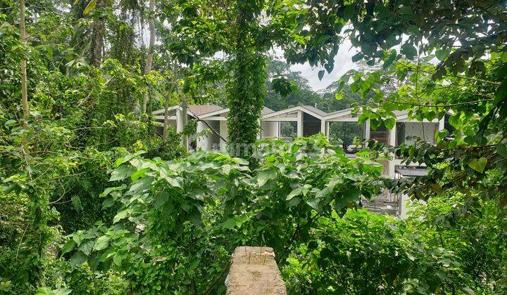 For Lease Vacant Land In Tegallalang Ubud Bali 1