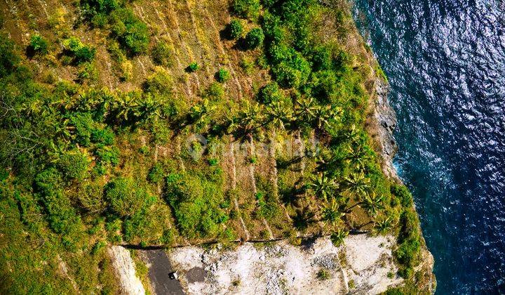 Plot of Land in Nusa Penida, Karang Los Tebing, 1725 M2 2