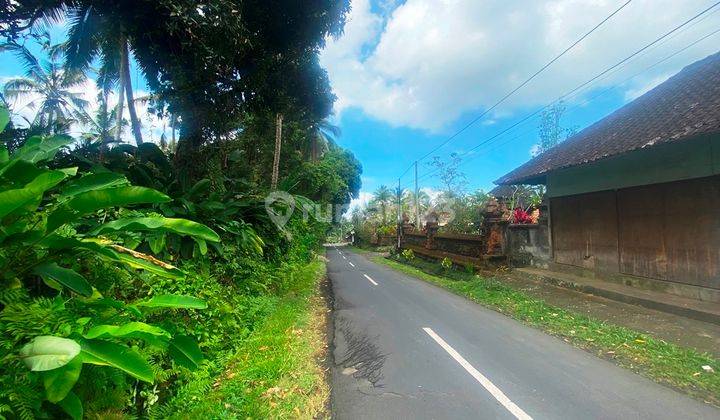 Dijual Lahan SHM 32 Are Pinggir Jalan Dan View Sungai Di Payangan Bali 1